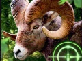 leikur Crazy Goat Hunter 2020