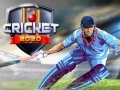 leikur Cricket 2020