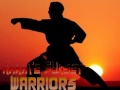 leikur Karate Sunset Warriors