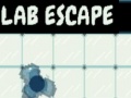 leikur Lab Escape
