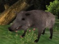 leikur Wild boar Hunting
