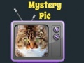 leikur Mystery Pic