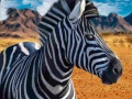leikur Zebra Hunter