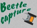 leikur Beetle Capture