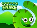 leikur Frenzy Snake