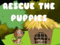 leikur Rescue The Puppies