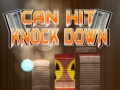 leikur Can Hit Knock down