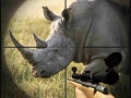 leikur Wild Rhino Hunter