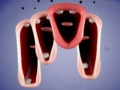 leikur Crazy Lips