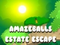 leikur Amazeballs Estate Escape