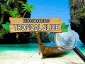 leikur Hidden Objects: Tropical Slide