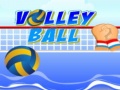 leikur Volley ball