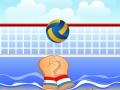 leikur Volley Ball