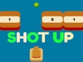 leikur Shot Up