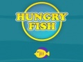leikur Hungry Fish