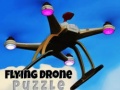 leikur Flying Drone Puzzle