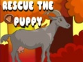 leikur Rescue The Puppy