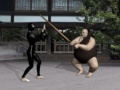leikur Buyoda Sensei
