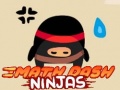 leikur Math Dash Ninjas