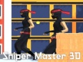 leikur Sniper Master 3D