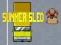 leikur Summer Sled