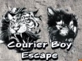 leikur Courier Boy Escape