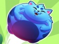 leikur Super Sushi Cat a Pult