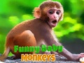 leikur Funny Baby Monkey