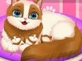 leikur Cute Kitty Pregnant