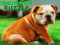 leikur Bulldog Puppy Puzzle