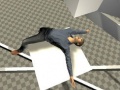leikur Ragdoll Test
