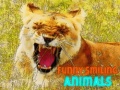 leikur Funny Smiling Animals