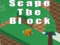 leikur Scape The Block