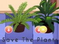 leikur Save the Plants
