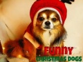 leikur Funny Christmas Dogs