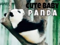 leikur Cute Baby Panda