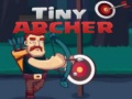 leikur Tiny Archer