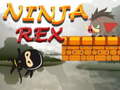 leikur Ninja Rex