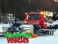 leikur Snow Groomer Vehicles