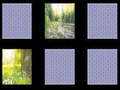 leikur Nature Memory