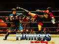 leikur Fighters in the Ring