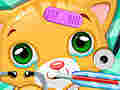 leikur Doctor Pets