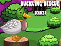 leikur Duckling Rescue Series1
