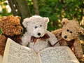 leikur Cuddly Three Teddy Jigsaw