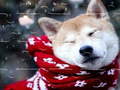 leikur Winter Pets Puzzle