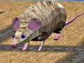 leikur Mouse Race Islands