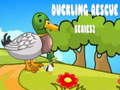 leikur Duckling Rescue Series2
