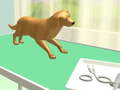 leikur Paw Care