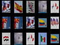 leikur Memorize the flags