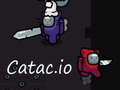 leikur Catac.io